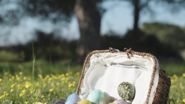 Wicker Basket Lying Meadow Yellow Flowers Forest Eggs All Scattered — Vídeo de stock