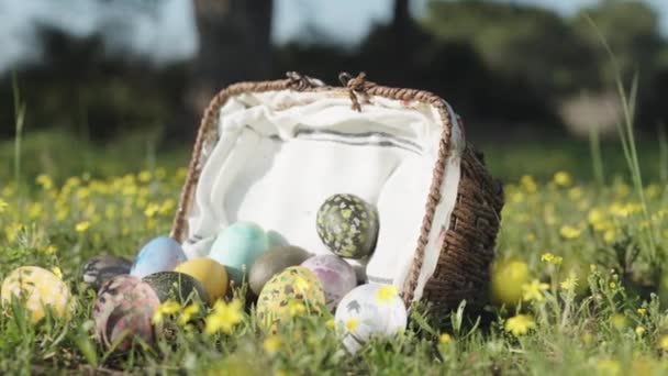Wicker Basket Lying Meadow Yellow Flowers Forest Eggs All Scattered — Vídeo de Stock