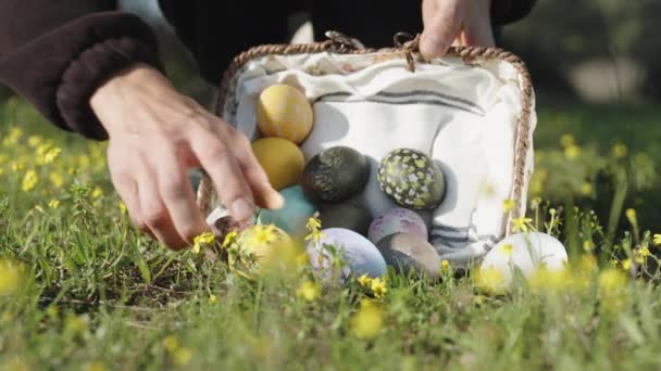 Easter Eggs Fell Out Basket Collecting Them Back Forest Green — Video Stock