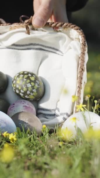 Easter Eggs Fell Out Basket Collecting Them Back Forest Green — Vídeo de Stock