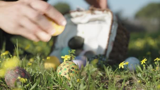 イースターエッグは黄色の花と緑の牧草地に散在しています 私はバスケットを取ってそれらを収集し クローズアップ — ストック動画