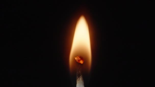 Burning Candle Wick Black Background Close — стоковое видео
