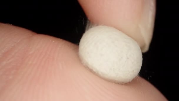 Roll Sticky Plasticine Ball Macro — Vídeo de stock