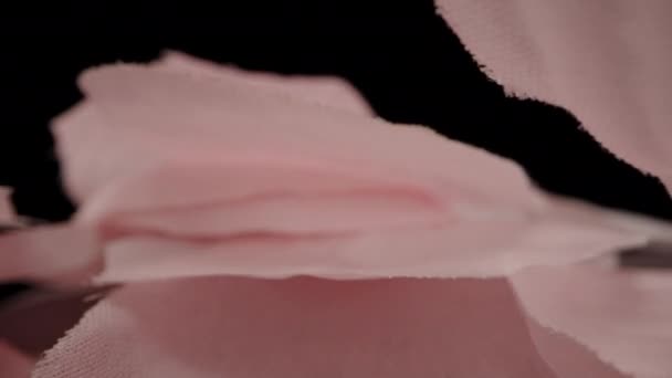 Artificial Pink Rose Petals Dolly Slider Extreme Close Laowa Probe — Wideo stockowe