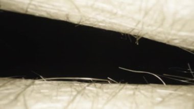 Camera flight inside, under sheets of white fiberglass. Dolly slider extreme close-up. Laowa Probe