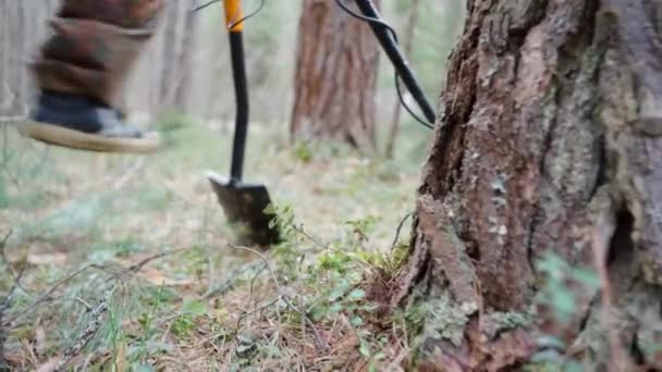 Man Dressed Camouflage Clothing Walks Woods Metal Detector Shovel Search — Vídeos de Stock