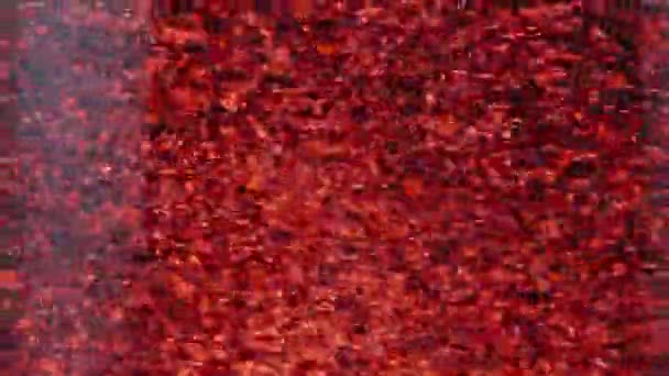 Abstracción Macro Las Partículas Rojas Giran Sobre Fondo Negro Espacio — Vídeo de stock