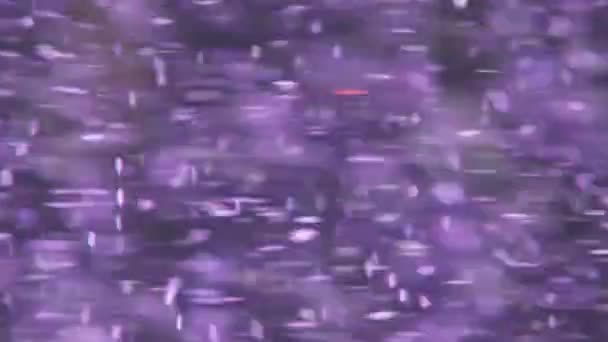 Macro Abstraction Purple Particles Rotate Black Background Space Oval Bokeh — Vídeo de Stock