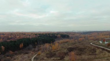 Autumn in the city, drone video. Red trees in cloudy weather. urban landscape