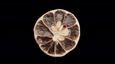 Dried orange slice, on a black background, close-up. Dolly slider extreme close-up. Laowa Probe