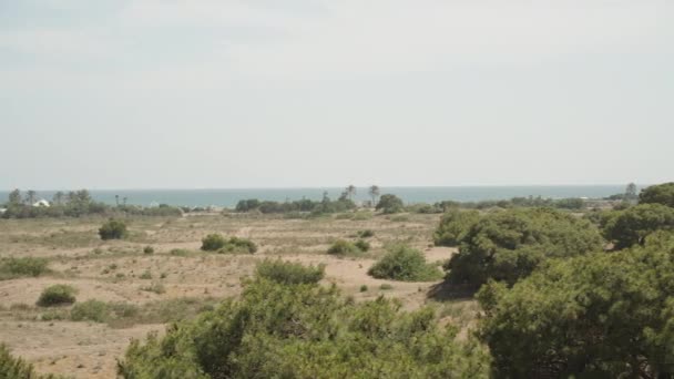 Panorama Sea Top Trees Sand — Stock Video
