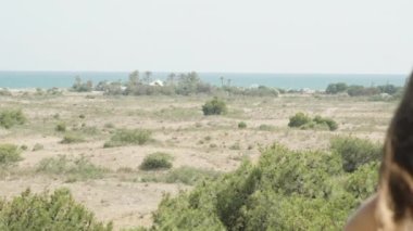 Long hair blows in the wind. young woman is looking at the sea in the distance.. Slow mo slide