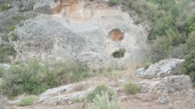 Kayalıkların aşağısından bak. Ağaçlar ve çalılar büyür..