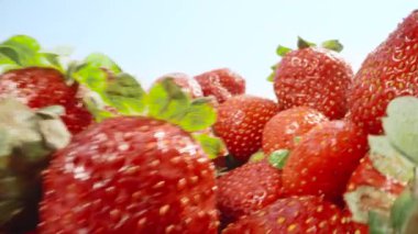 A bunch of strawberry against the blue sky, Put on the table. Dolly slider extreme close-up. Laowa Probe.