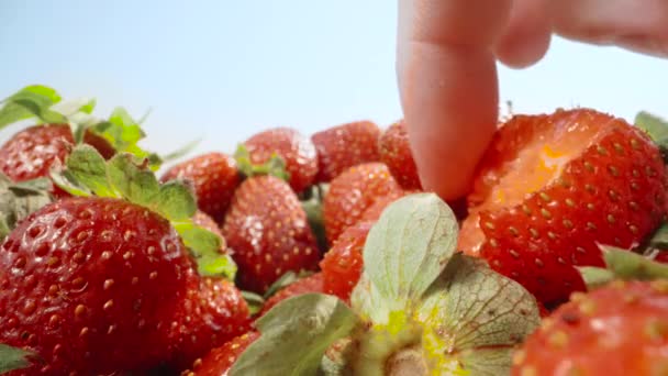 Ein Bund Erdbeeren Gegen Den Blauen Himmel Die Person Isst — Stockvideo