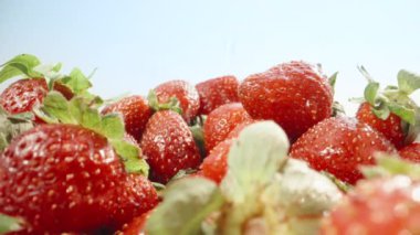 A bunch of strawberry against the blue sky, Water is pouring. Dolly slider extreme close-up. Laowa Probe.