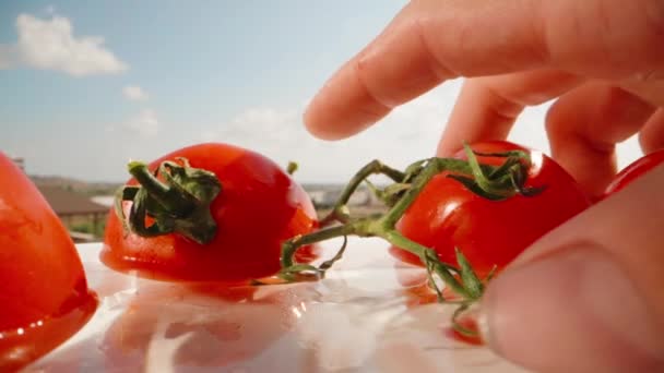 Tiro Tomates Água Contra Fundo Céu Azul Close Lento — Vídeo de Stock