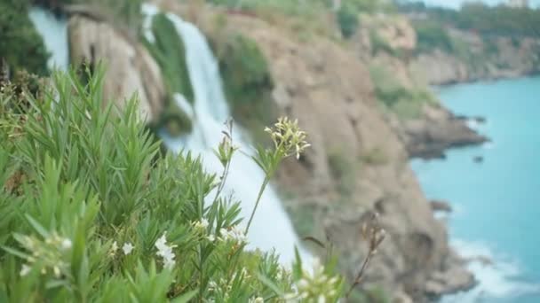 Flores Fundo Cachoeira Água Azul Devagar — Vídeo de Stock