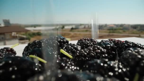 Mulberries Table Water Pouring Blue Sky Summer Sunny Weather Dolly — Stock Video