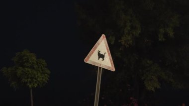 Dark night. A road sign in the park among the trees. A black funny cat with big eyes.