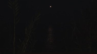 Night flight. An airplane lantern is visible in the sky. Light is reflected in seawater. Very dark.