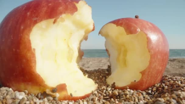 Två Bitna Äpplen Ligger Sanden Havet Bakgrunden Sommar Solig Dag — Stockvideo