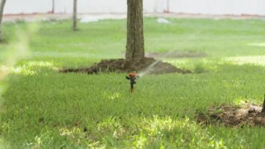 Otomatik sulama yeşil çimenleri korumak için işe yarar. Yaz, çok sıcak bir gün..