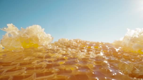 하늘을 배경으로 꿀이다 슬라이더가 밀렸어 Laowa Probe — 비디오
