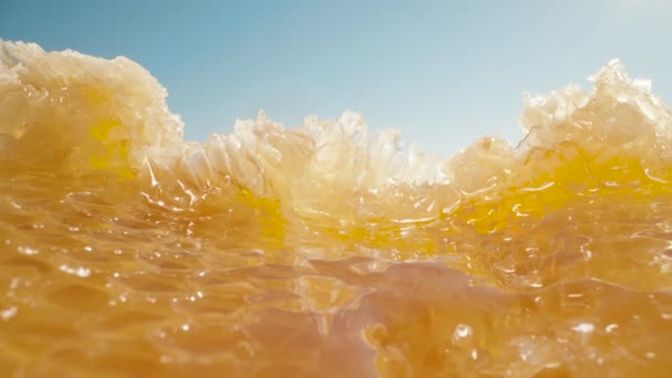 Поднимаясь Склону Золотого Меда Соты Голубое Небо Долли Слайдер Экстремальный — стоковое видео