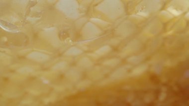 Kamera bal peteği mağarasından yansıyor. Dolly Slider aşırı yakın çekim. Laowa Sondası. Yavaş çekim.