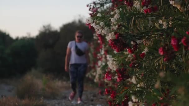 Zachód Słońca Młoda Kobieta Idzie Wzdłuż Ściany Czerwono Białych Kwiatów — Wideo stockowe