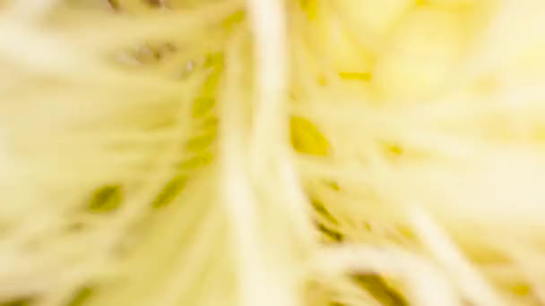Отрываю Верхушки Кукурузы Внутри Сочные Желтые Зерна Здоровое Питание Долли — стоковое видео