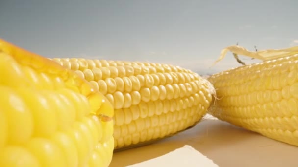 Sirvo Milho Com Mel Costelas Suculentas Amarelas Estão Sobre Mesa — Vídeo de Stock