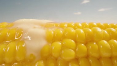 Tereyağı sıcak mısırın üzerinde erir. Tanelerden aşağı doğru akar. Mavi gökyüzüne karşı. Yakın plan. Makro.