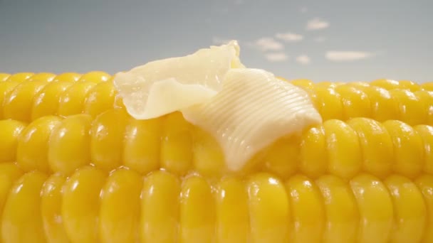 Manteiga Sai Milho Quente Vou Virar Espiga Close Macro — Vídeo de Stock