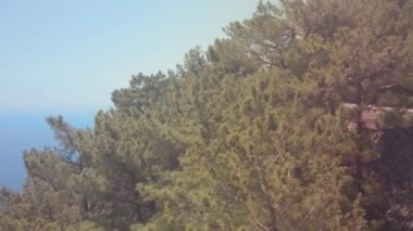 Kablolu araba, füniküler. Taksiden ağaçların tepesine, ormanın içindeki patikaya bak..