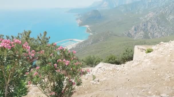 Dağdan Denize Kadar Manzarayı Limana Park Etmiş Yatları Çalıların Arasından — Stok video