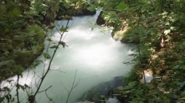 Küçük bir dağ nehri hızla akar. Plastik torba kıyıda duruyor. Turkuaz su. Güneş ağaçların arasından doğuyor. Güzel doğa..