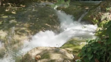 Dağ nehri. Büyük taşların üzerinden akar. Beyaz köpük. Hızlı akım.