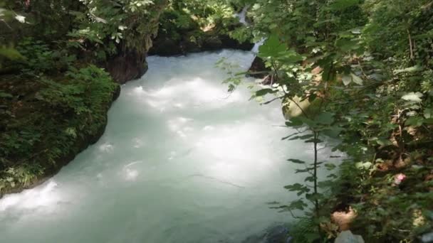 Rio Montanha Flui Entre Pedras Água Parece Branca Árvores Por — Vídeo de Stock