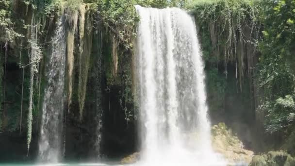 Водоспад Вражає Скелі Скелі Вирощуються Мохом Лозами Русі Вниз Крупним — стокове відео