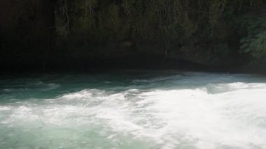 Dağ nehri. Sarmaşıklar kayayı sıvadı. Su havada uçuyor. Yaz, güneşli bir gün. Yavaş çekim.