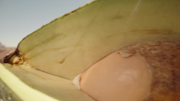 Ich Halte Die Avocadofrucht Der Hand Ein Teil Wird Abgeschnitten — Stockvideo