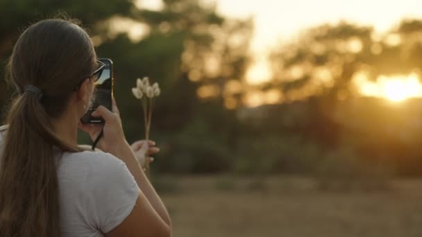 Молода Жінка Стріляла Телефону Зірвавши Сухі Кущі Лагура Заході Сонця — стокове відео