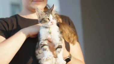 Genç kadın, kediyi gözsüz, yakından, yavaş çekimde yakalar ve okşar..