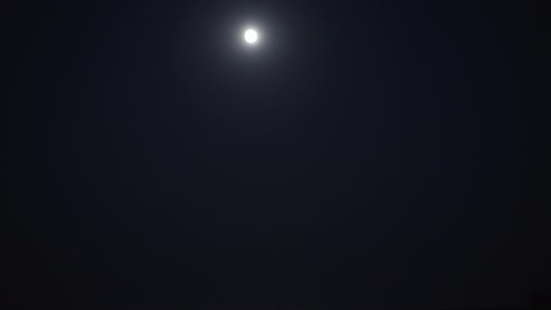 Nacht Maanlicht Zee Golven Silhouet Van Een Jonge Vrouw Die — Stockvideo