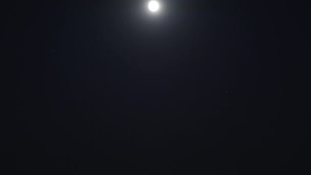 月亮和星星 看海浪 月亮照在水面上的光 — 图库视频影像