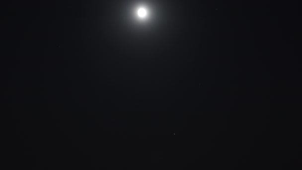 月亮下的运动 一个男人在海滩上的轮廓 月亮照亮了大海 — 图库视频影像