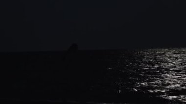 Gece sahilinde genç bir kadının silueti, Ay suları aydınlatır, kız kıyı boyunca yürür.