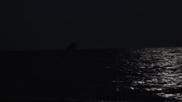 Silueta Una Mujer Joven Una Playa Mar Noche Luna Ilumina — Vídeo de stock
